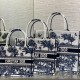 디올 리비에라 북 토트 백 뜨왈 드 주이 팜스  M1296ZEYD
