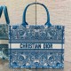 디올 Book Tote 미디엄 백 셀레스티얼  D-Butterfly Paisley 자수 M1296ZEEP_M64I