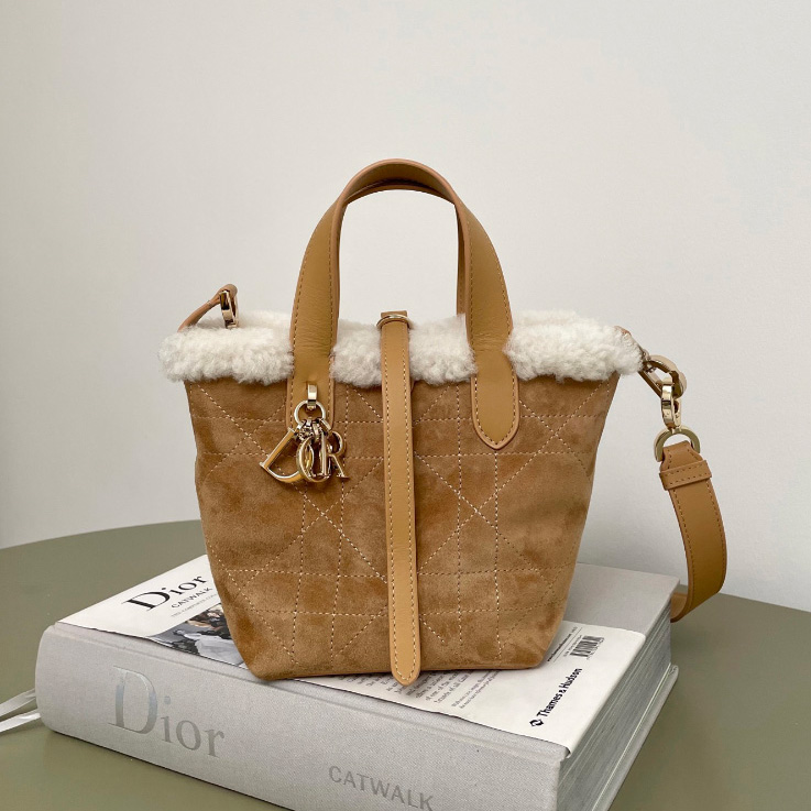 디올 알프스 뚜주흐 버티컬 나노 토트백 매크로까나쥬 스웨이드 베이지 S6100OMTU_M62E
